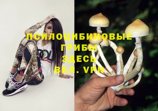 метадон Алексин
