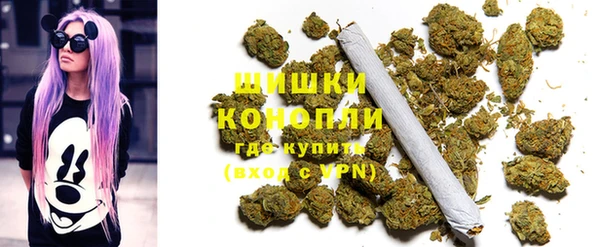 метадон Алексин