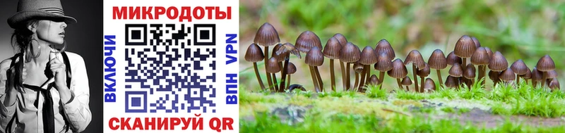 Галлюциногенные грибы GOLDEN TEACHER  Палласовка 